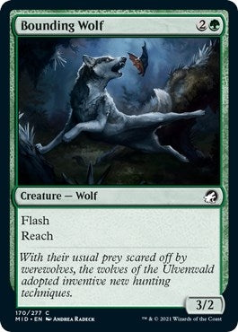 Bounding Wolf (170) (Innistrad: Midnight Hunt)