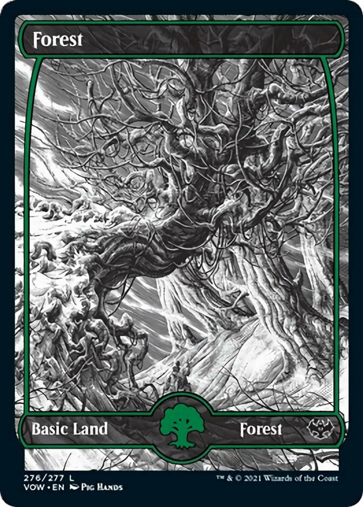 Forest (276) (276) (Innistrad: Crimson Vow)