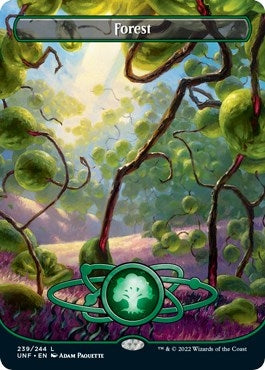Forest (239) (Borderless) (239) (Unfinity)
