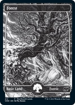 Forest (Moonlit Land) (Foil Etched) (412) (WPN & Gateway Promos)