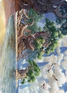Yavimaya Coast Art Card (61)