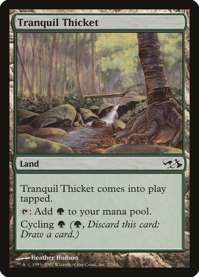 Tranquil Thicket (27)