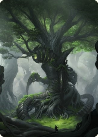 Forest Art Card (53) (Art Series: The Brothers' War)
