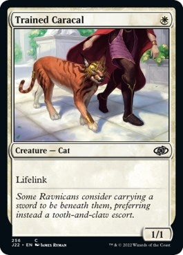 Image for Trained Caracal (256) - Magic: The Gathering