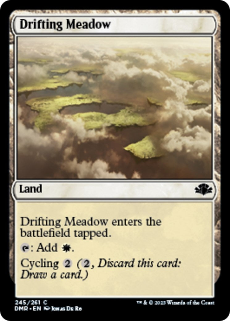 Drifting Meadow (245) (Dominaria Remastered)