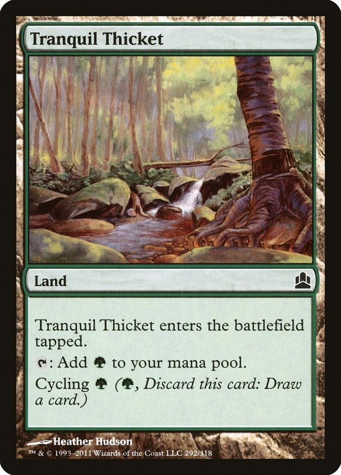 Tranquil Thicket (292)