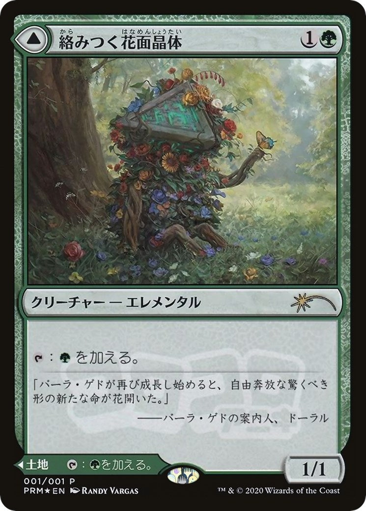 Tangled Florahedron (JP Magazine Insert) (1) (Media Promos)