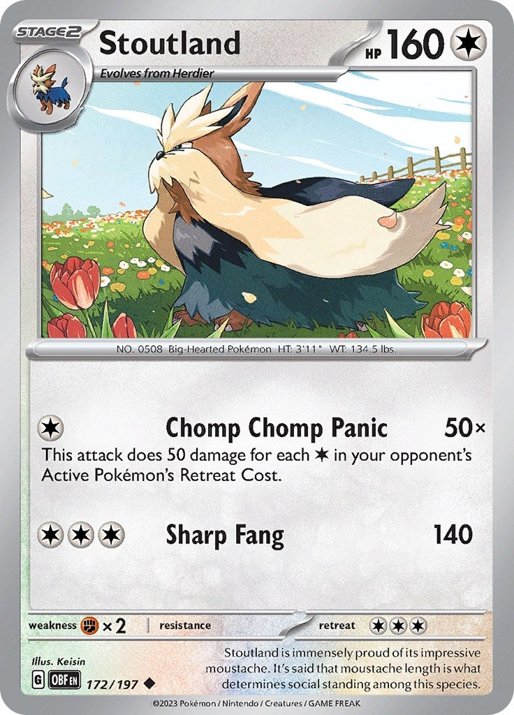 Image for Stoutland (172/197) (SV03: Obsidian Flames) - Pokemon