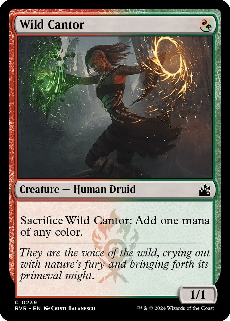 Wild Cantor (239)