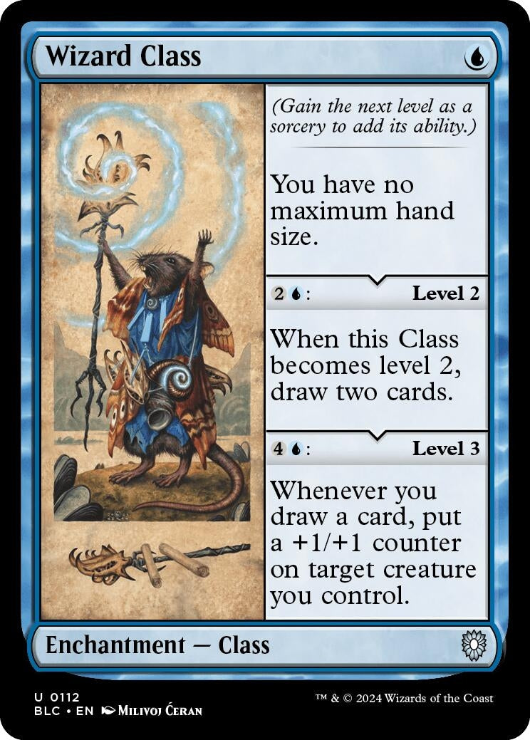 Image for Wizard Class (112) - Magic: The Gathering