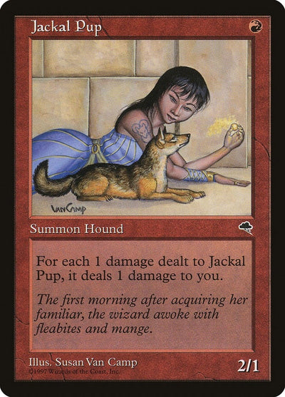 Jackal Pup (183) (Tempest)