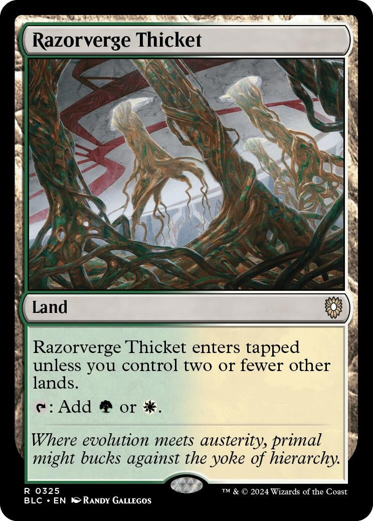 Razorverge Thicket (325) (Commander: Bloomburrow)