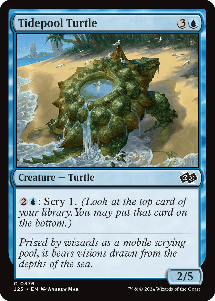 Tidepool Turtle (376) (Foundations Jumpstart)