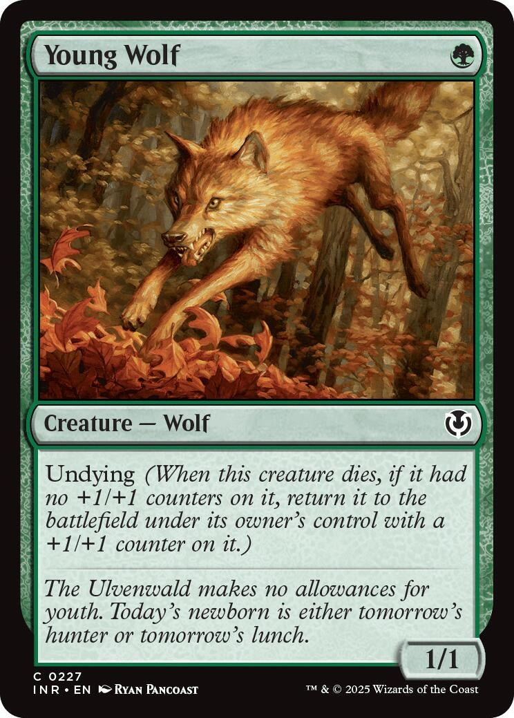 Image for Young Wolf (227) - Magic: The Gathering