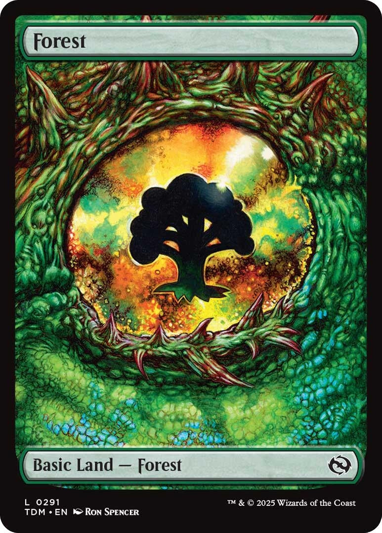 Forest (0291) (291) (Tarkir: Dragonstorm)