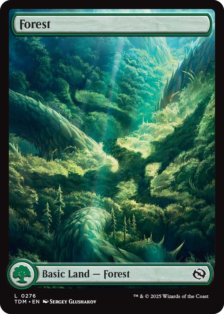 Forest (0276) (276) (Tarkir: Dragonstorm) (TDM)