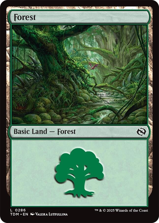 Forest (0286) (286) (Tarkir: Dragonstorm)