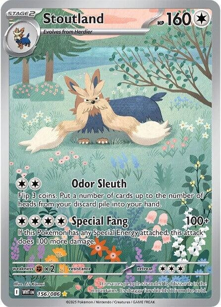 Image for Stoutland (156/086) (SV: White Flare) - Pokemon