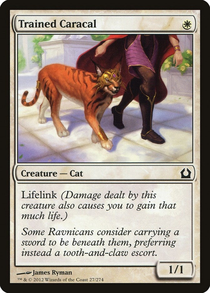 Trained Caracal (27) (Return to Ravnica)