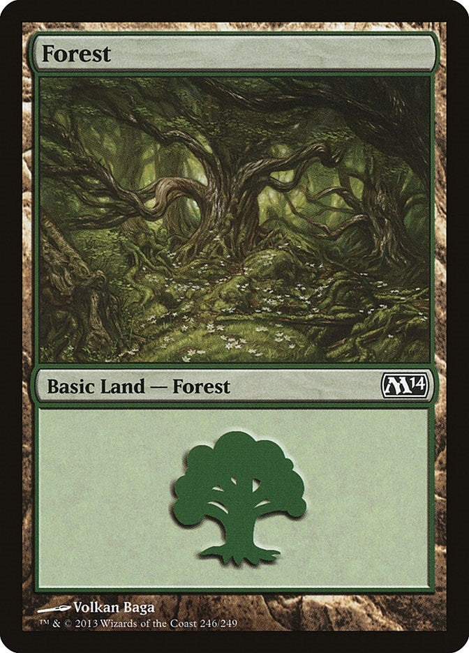 Forest (246) (246) (Magic 2014 (M14))