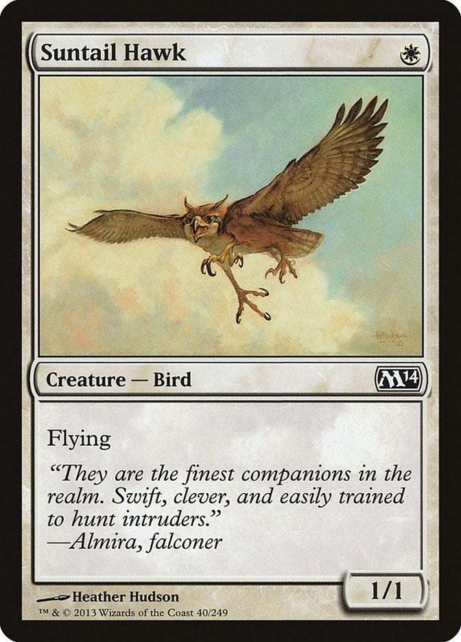Suntail Hawk (40) (Magic 2014 (M14))