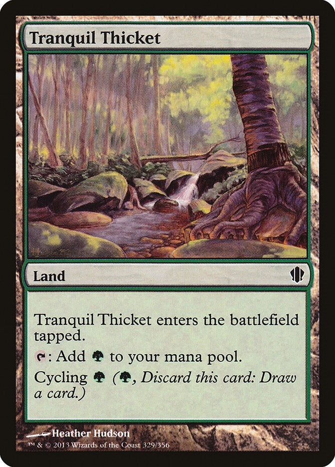 Tranquil Thicket (329)