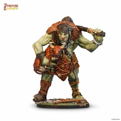 Dungeons & Lasers Woodhaven: Yahzzal the Un'gry troll
