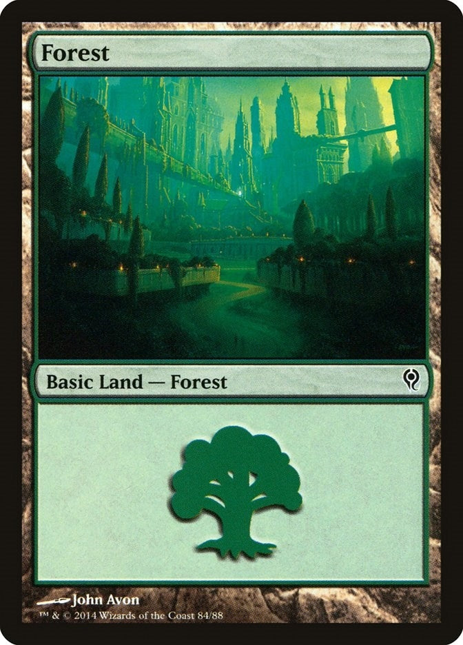Forest (84) (84) (Duel Decks: Jace vs. Vraska)