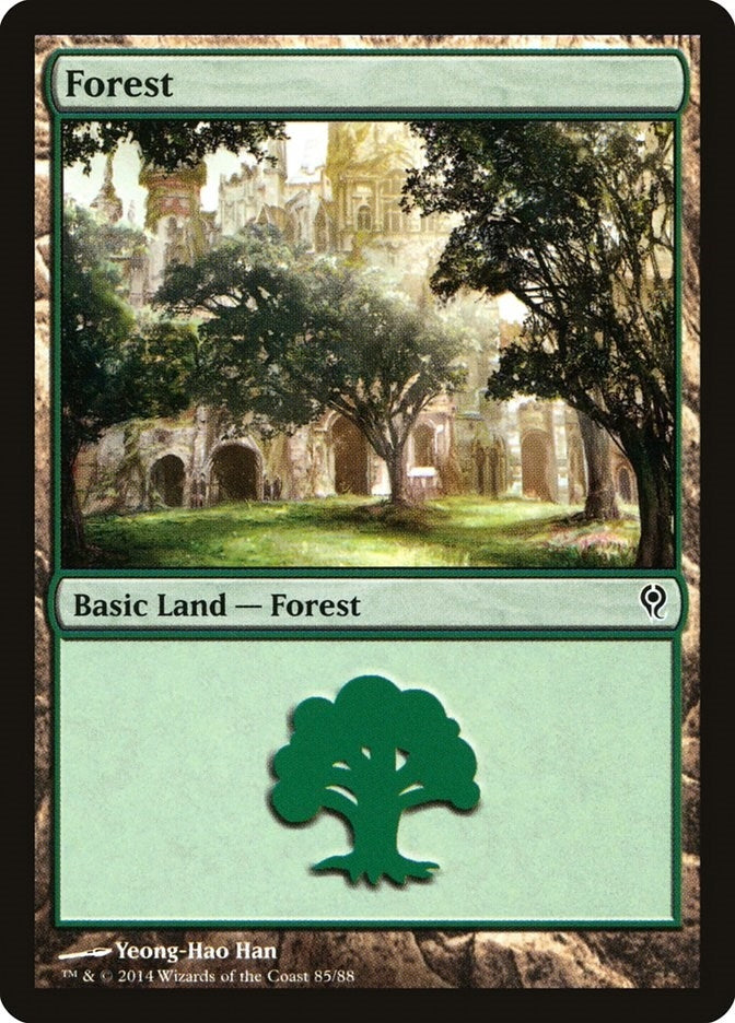 Forest (85) (85) (Duel Decks: Jace vs. Vraska)