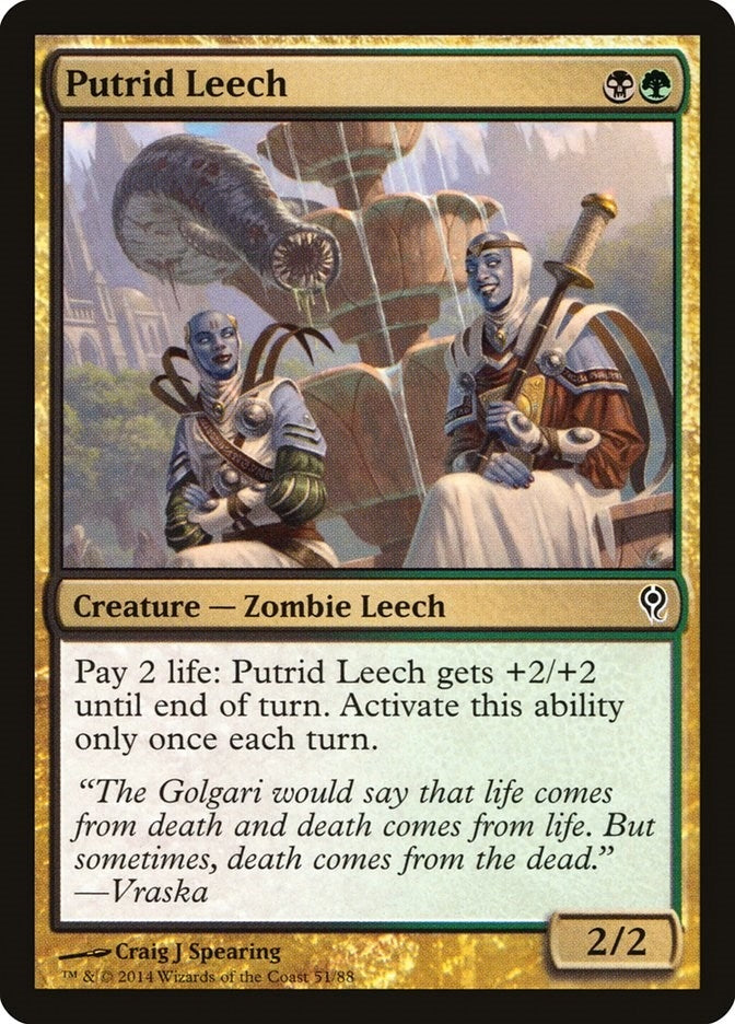 Putrid Leech (51) (Duel Decks: Jace vs. Vraska)