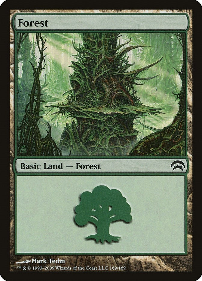 Forest (169) (169) (Planechase)