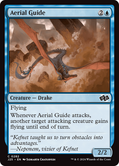 Aerial Guide (282) (Foundations Jumpstart)