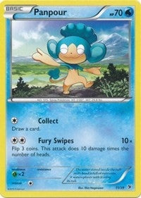 Image for Panpour (11/39) (Kalos Starter Set) - Pokemon