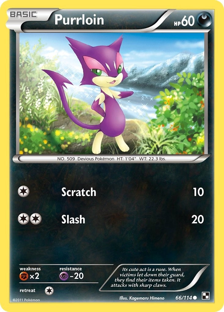 Image for Purrloin (66/114) (Black and White) - Pokemon