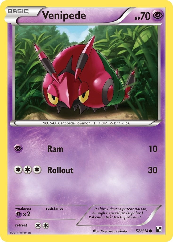 Image for Venipede (52/114) (Black and White) - Pokemon
