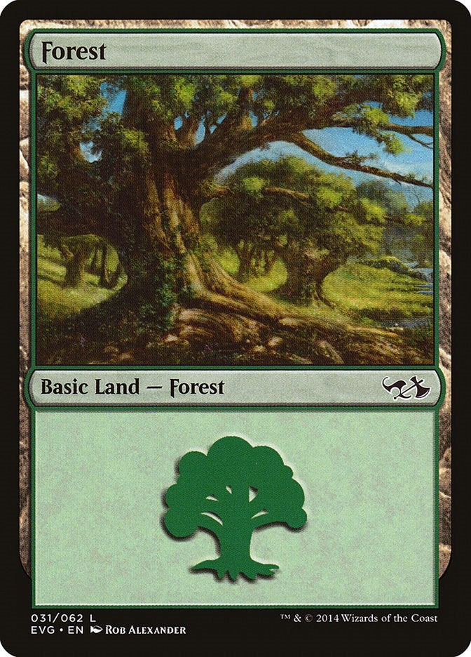 Forest (031) (EVG) (31) (Duel Decks: Anthology)