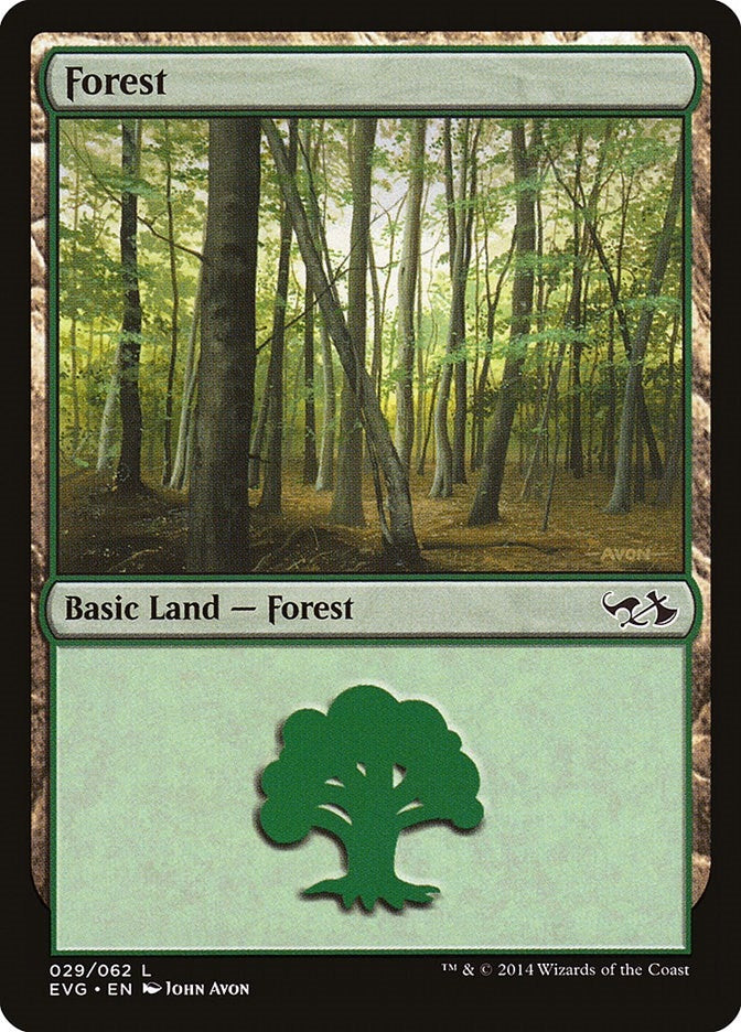 Forest (029) (EVG) (29) (Duel Decks: Anthology)