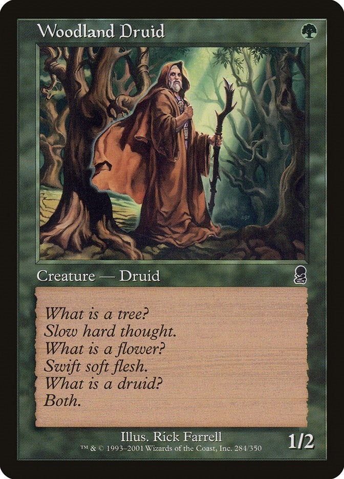 Image for Woodland Druid (284) - Magic: The Gathering