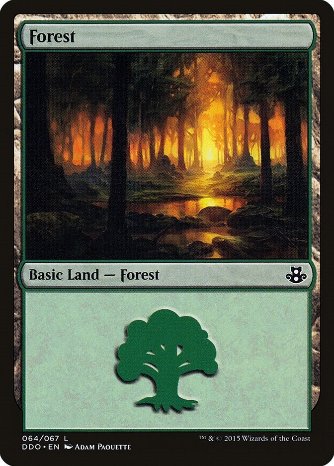 Forest (064) (64) (Duel Decks: Elspeth vs. Kiora)