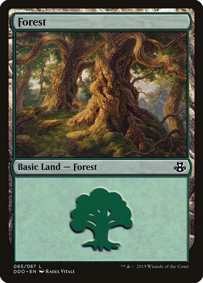 Forest (065) (65) (Duel Decks: Elspeth vs. Kiora)