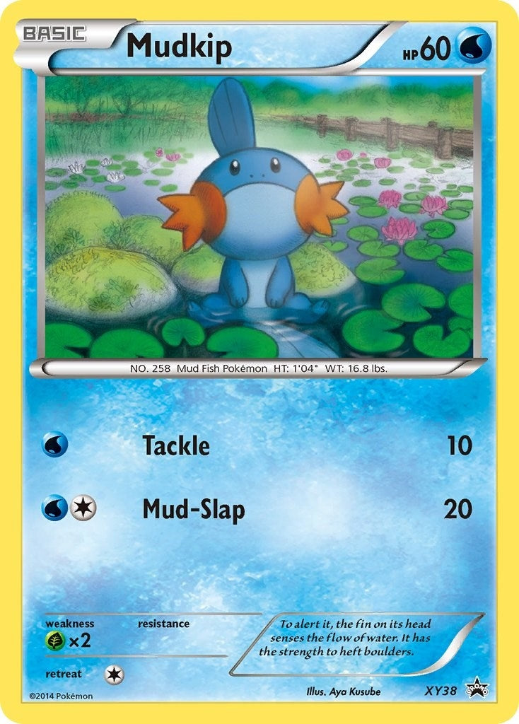 Image for Mudkip - XY38 (XY38) (XY Promos) - Pokemon