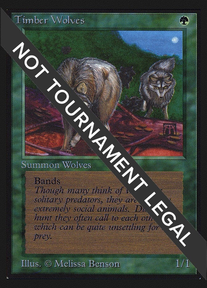 Timber Wolves (IE) (International Edition)
