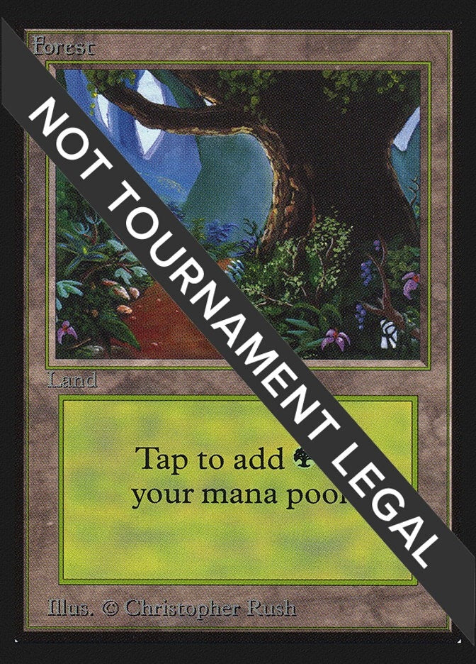 Forest (B) (IE) (281) (International Edition)