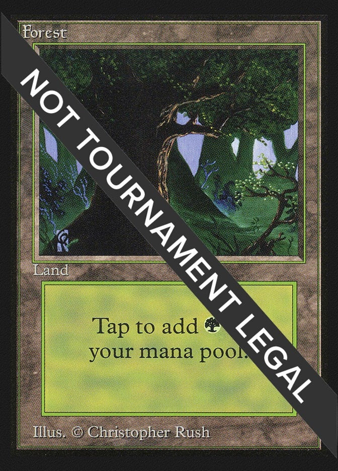 Forest (C) (IE) (282) (International Edition)