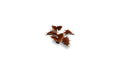 GamersGrass - Laser Plants - Alien Flytrap