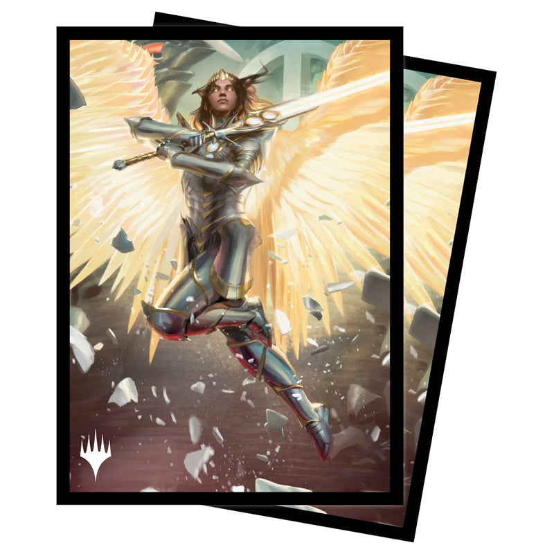 Art Sleeves