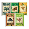 CATAN - Settlers of America