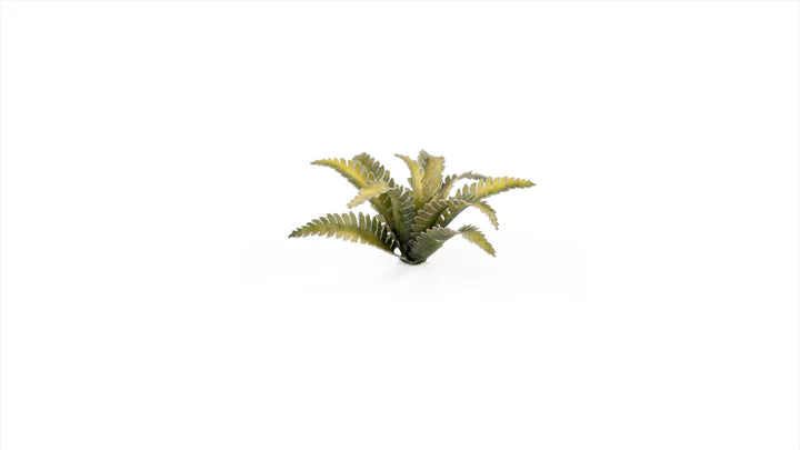 GamersGrass - Laser Plants - Deer Fern