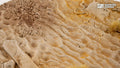 GamersGrass - Bases - Deserts of Maahl 170mm - Oval