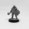 Next Level Miniatures - Player Character Set: Human Cleric and Monk